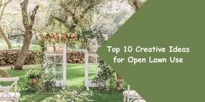 Top 10 Creative Ideas for Open Lawn Use